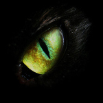 Avatar (Profilbild) von DJ