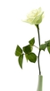 Attachment 51087