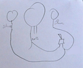 Attachment 171449