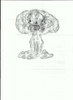 Attachment 216429