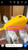 Attachment 280382