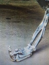 Attachment 304436