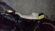 Attachment 338631