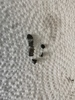 Attachment 340168