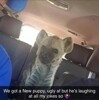 Attachment 360918