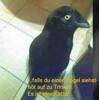 Attachment 364198