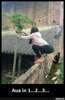 Attachment 366715