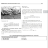 Attachment 368666