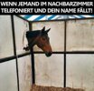 Attachment 379032