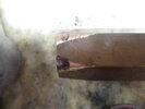 Attachment 417004