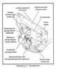 Attachment 428689