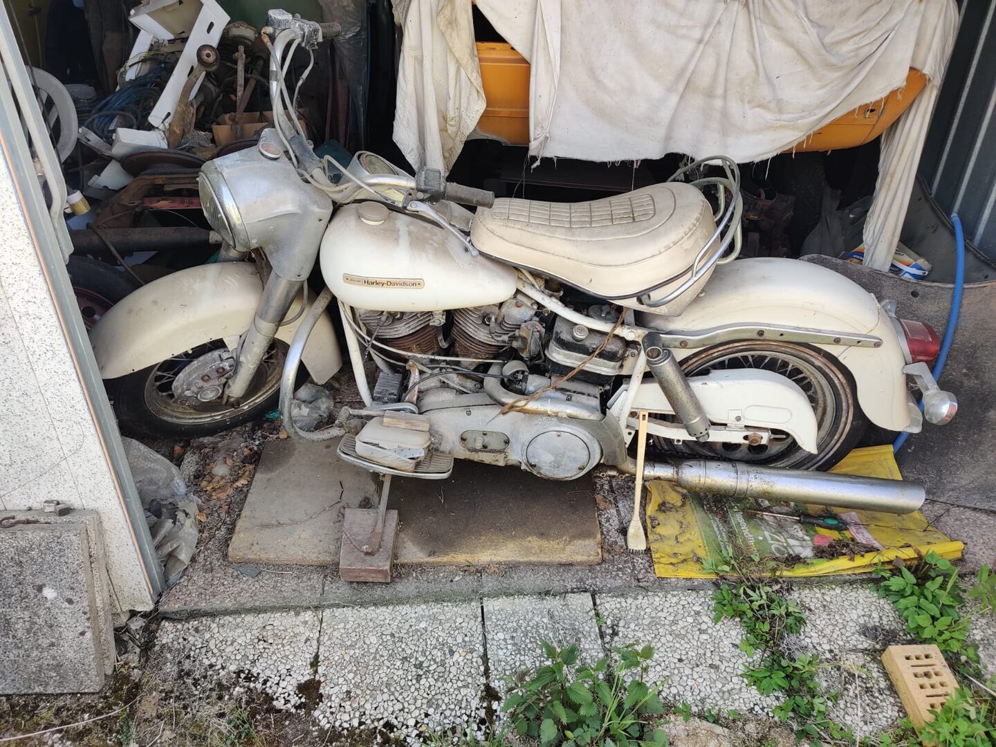 Flathead: Kennt jemand dieses HD-Modell? (S. 1) - Milwaukee V-Twin ...