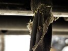 Attachment 440144