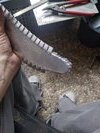 Attachment 441367