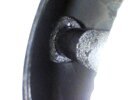 Attachment 459069