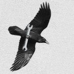 Avatar (Profilbild) von crow