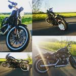Avatar (Profilbild) von HD_Iron_883