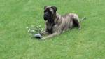 Avatar (Profilbild) von bully1090