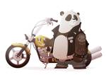 Avatar (Profilbild) von Cruising Panda
