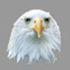 Avatar (Profilbild) von screaming_eagle