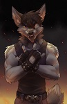 Avatar (Profilbild) von Metalwolf