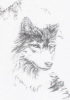 Avatar (Profilbild) von steppenwolf
