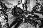 Avatar (Profilbild) von Harleyharry66