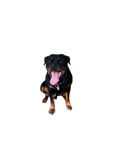 Avatar (Profilbild) von Chris5150