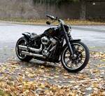 Avatar (Profilbild) von Y-Skywalker