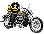 Avatar (Profilbild) von toto69