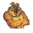 Avatar (Profilbild) von bulldogge