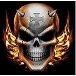 Avatar (Profilbild) von highwaypatrolusa