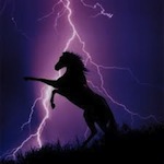 Avatar (Profilbild) von Lightning Jack
