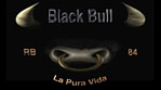 Avatar (Profilbild) von Black Bull